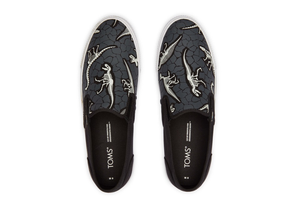 Toms Baja Slip On Dinosaur Dig Black Dino