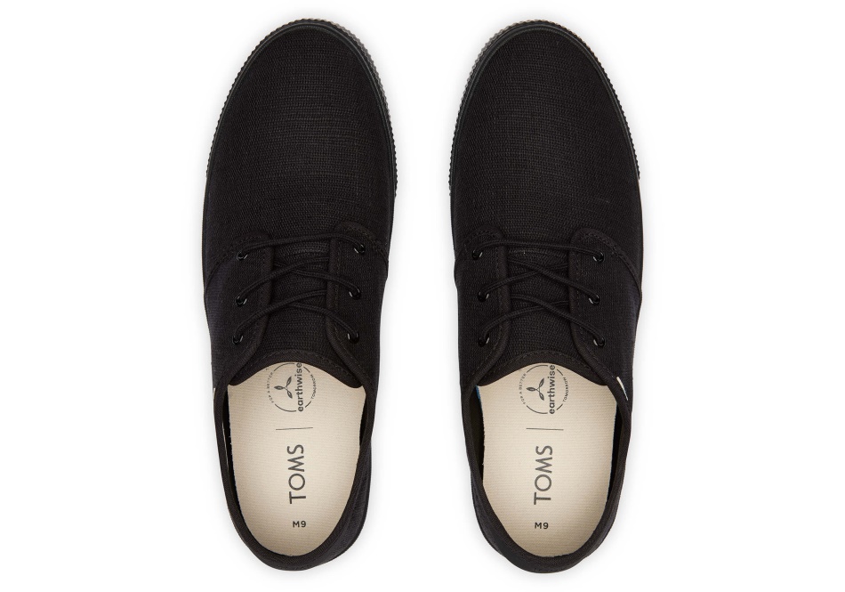 Toms Carlo Sneaker Black