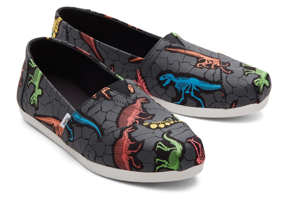 Toms Alpargata Dino Neon Multi Dino