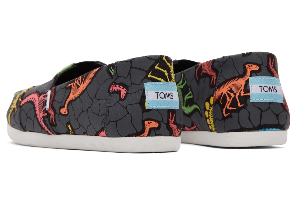 Toms Alpargata Dino Neon Multi Dino