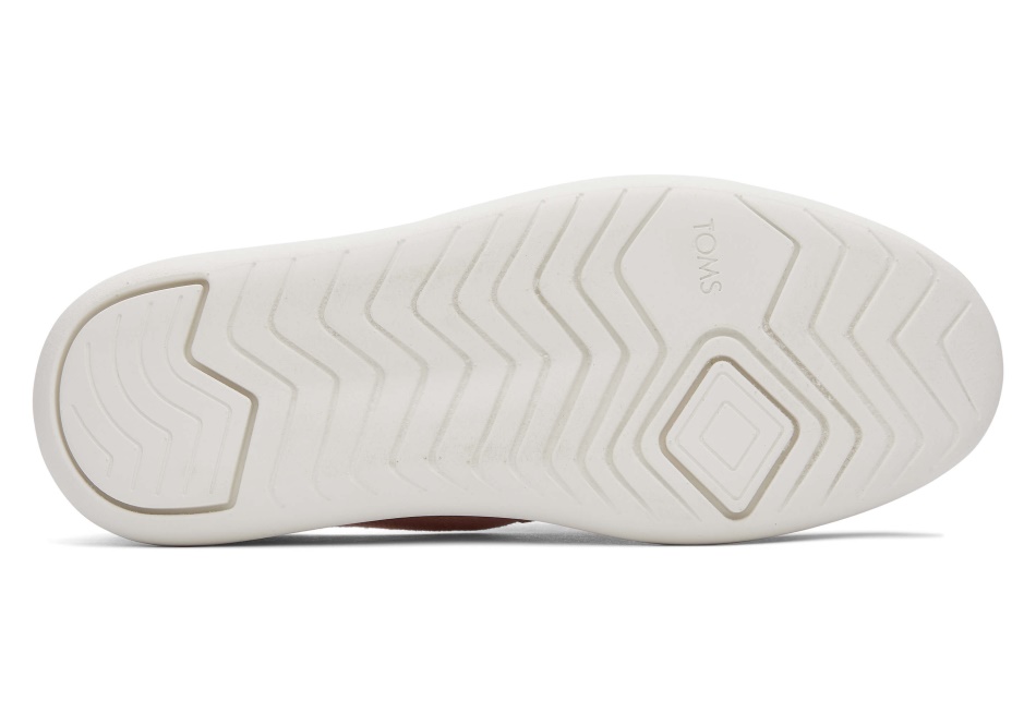 Toms Mallow Heritage Canvas Cloudy Pink