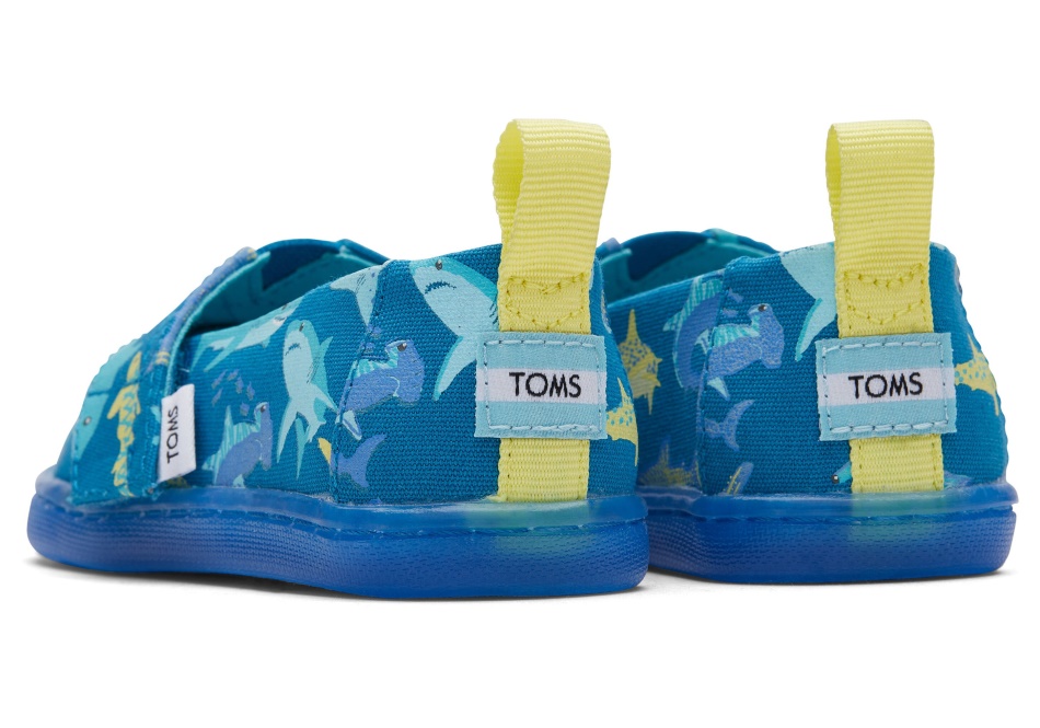 Toms Tiny Alpargata Sharks Deep Blue