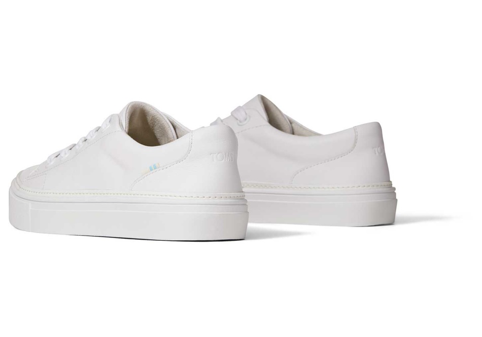Toms Alex Sneaker White