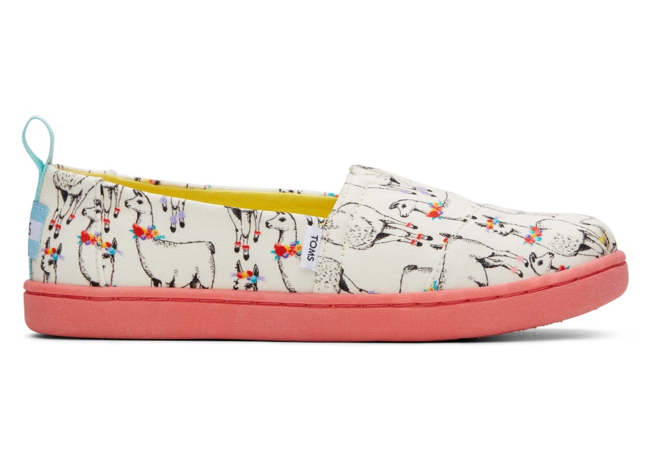 Toms Youth Alpargata Paper Source Ivory