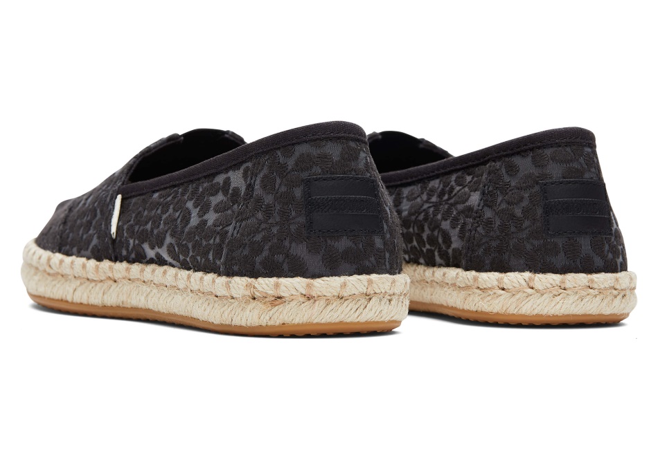 Espadrille Toms Alpargata Black