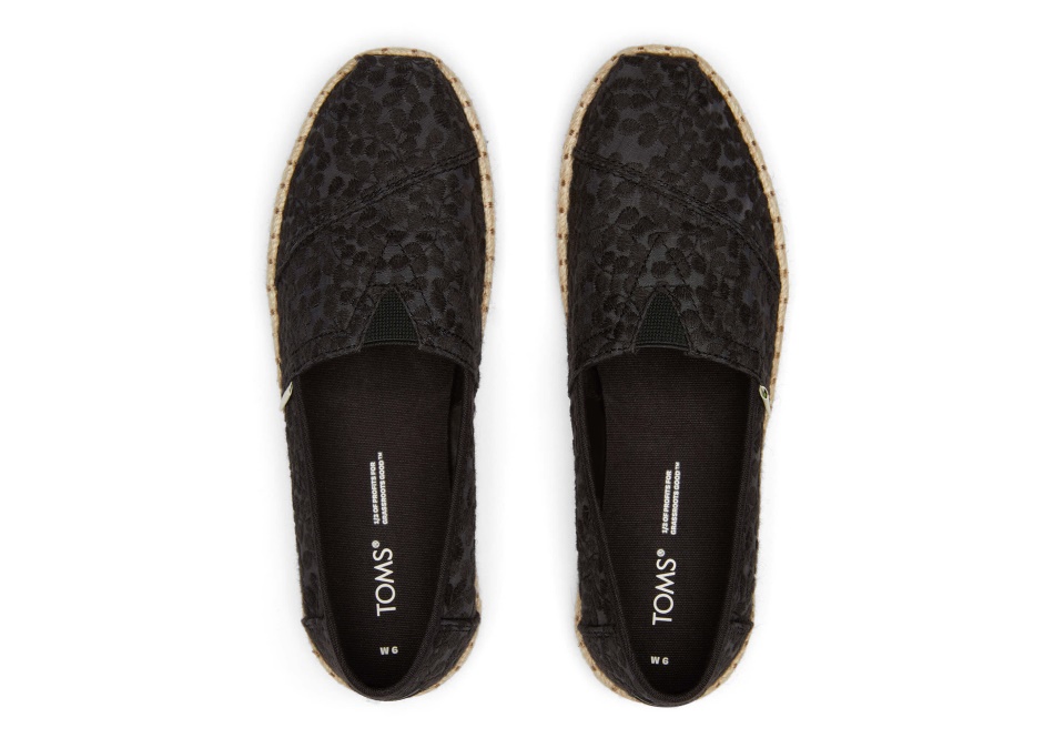 Espadrille Toms Alpargata Black