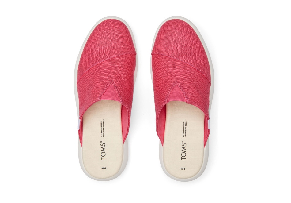 Toms Mallow Mule Raspberry