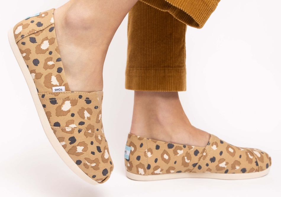 Toms Alpargata Leopard Brown Leopard