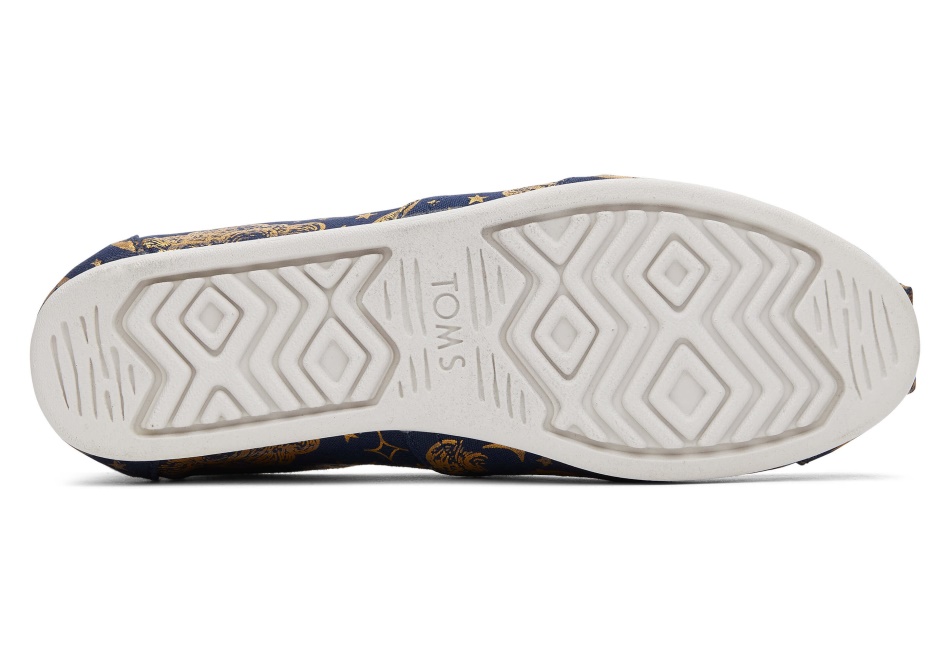 Toms Alpargata Celestial Navy Foil