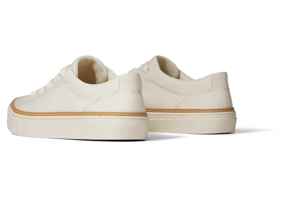 Toms Alex Sneaker Birch