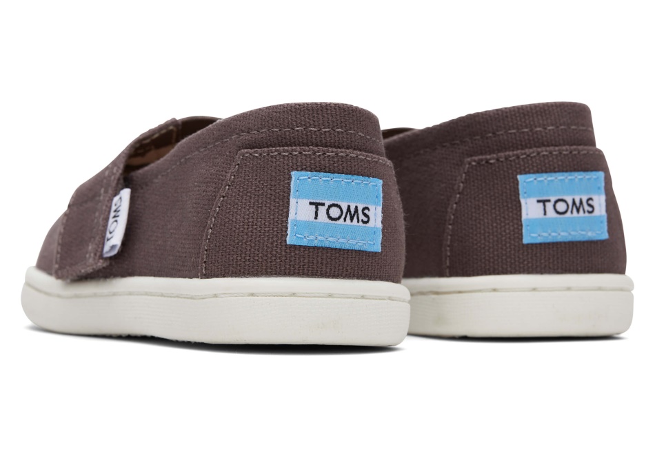 Toms Grey Alpargata Ash