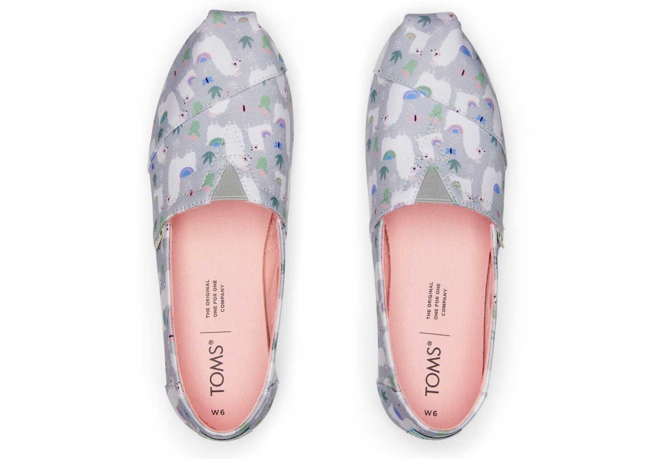 Toms Alpaca Alpargata Mid Grey